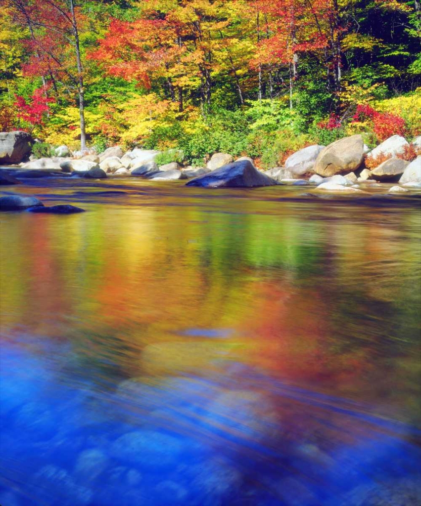 NH, Autumn colors reflecting in the Swift River art print by Christopher Talbot Frank for $57.95 CAD