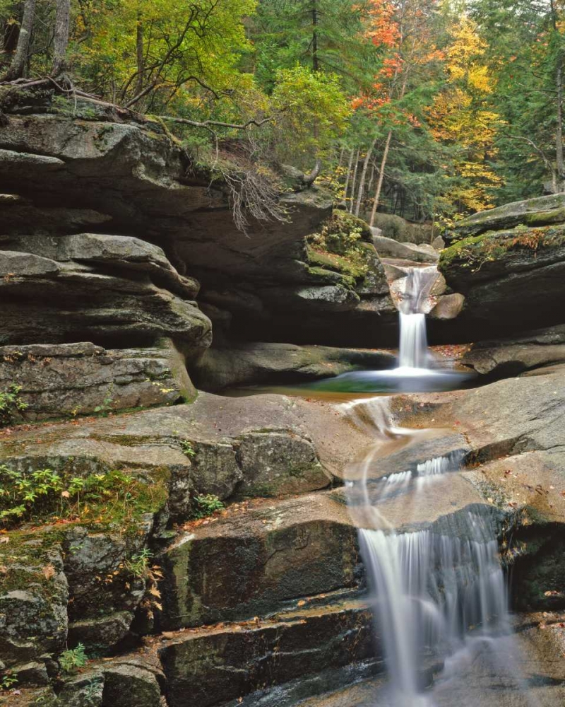 New Hampshire, White Mountains NF Sabbady Falls art print by Steve Terrill for $57.95 CAD