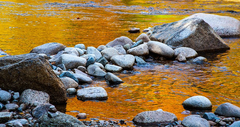 USA-New Hampshire-White Mountains National Forest-Swift River-Golden Fall colors reflected in rocky art print by Sylvia Gulin for $57.95 CAD