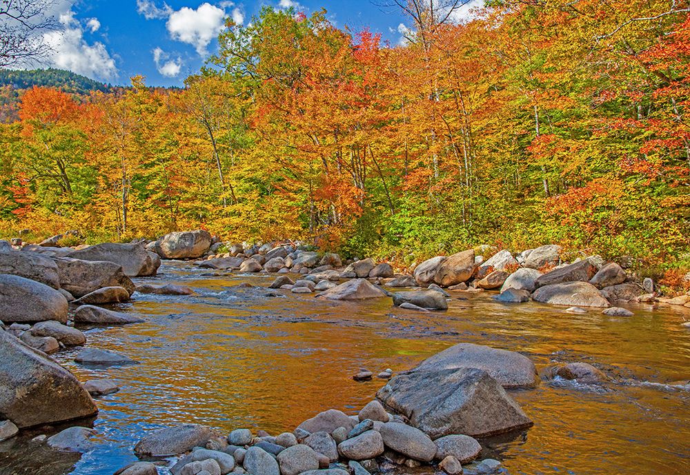 USA-New Hampshire-White Mountains National Forest and Swift River along Highway 112 in Autumn from  art print by Sylvia Gulin for $57.95 CAD