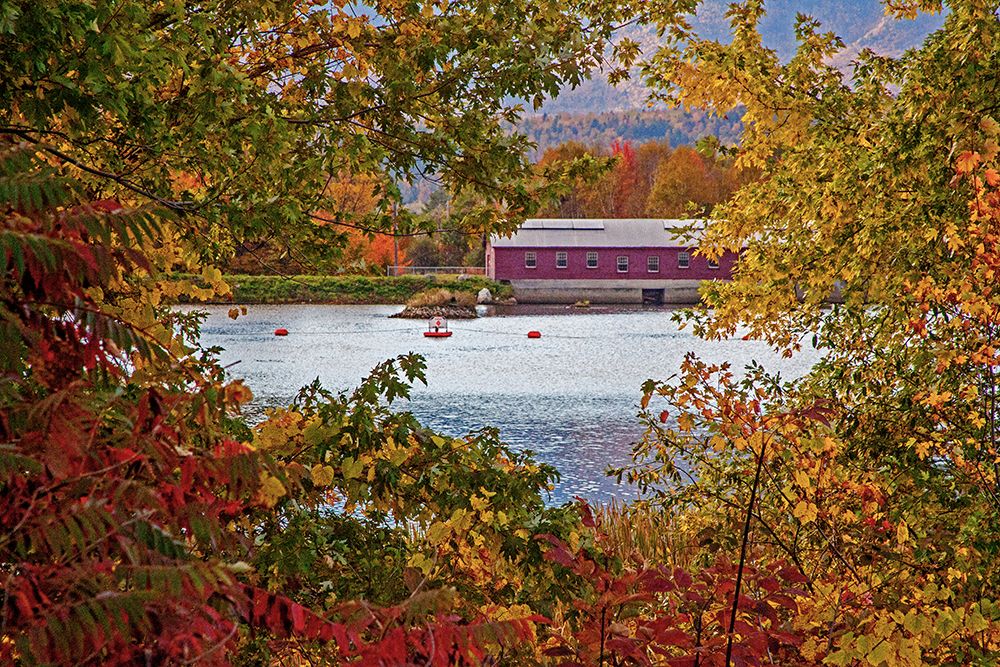 USA-New Hampshire-Gorham-Fall colored trees framing Androscoggin River near damn site art print by Sylvia Gulin for $57.95 CAD