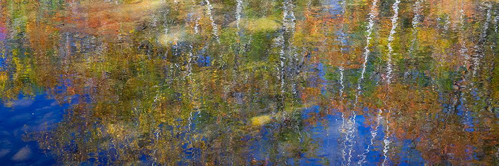 USA-New Hampshire-Gorham Autumn colors reflected in small pond art print by Sylvia Gulin for $57.95 CAD