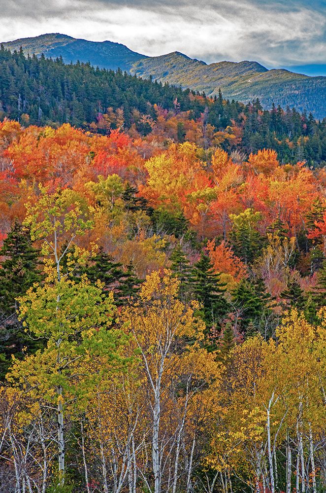 USA-New Hampshire-New England Fall colors on hillsides along highway 16 north of Jackson art print by Sylvia Gulin for $57.95 CAD