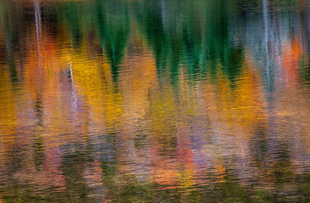 USA-New Hampshire-New England Fall colors reflected in the waters of the Saco River Crawford Notch  art print by Sylvia Gulin for $57.95 CAD