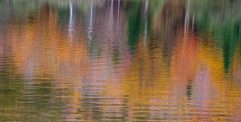 USA-New Hampshire-New England Fall colors reflected in the waters of the Saco River Crawford Notch  art print by Sylvia Gulin for $57.95 CAD