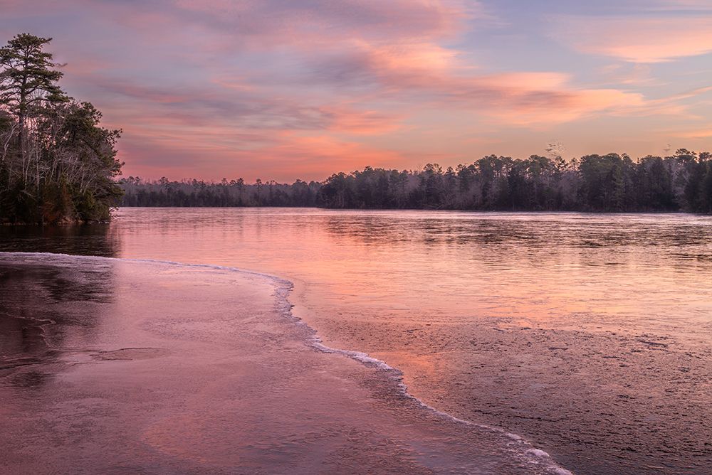 USA-New Jersey-Pine Barrens National Preserve. Sunrise on lake. art print by Jaynes Gallery for $57.95 CAD