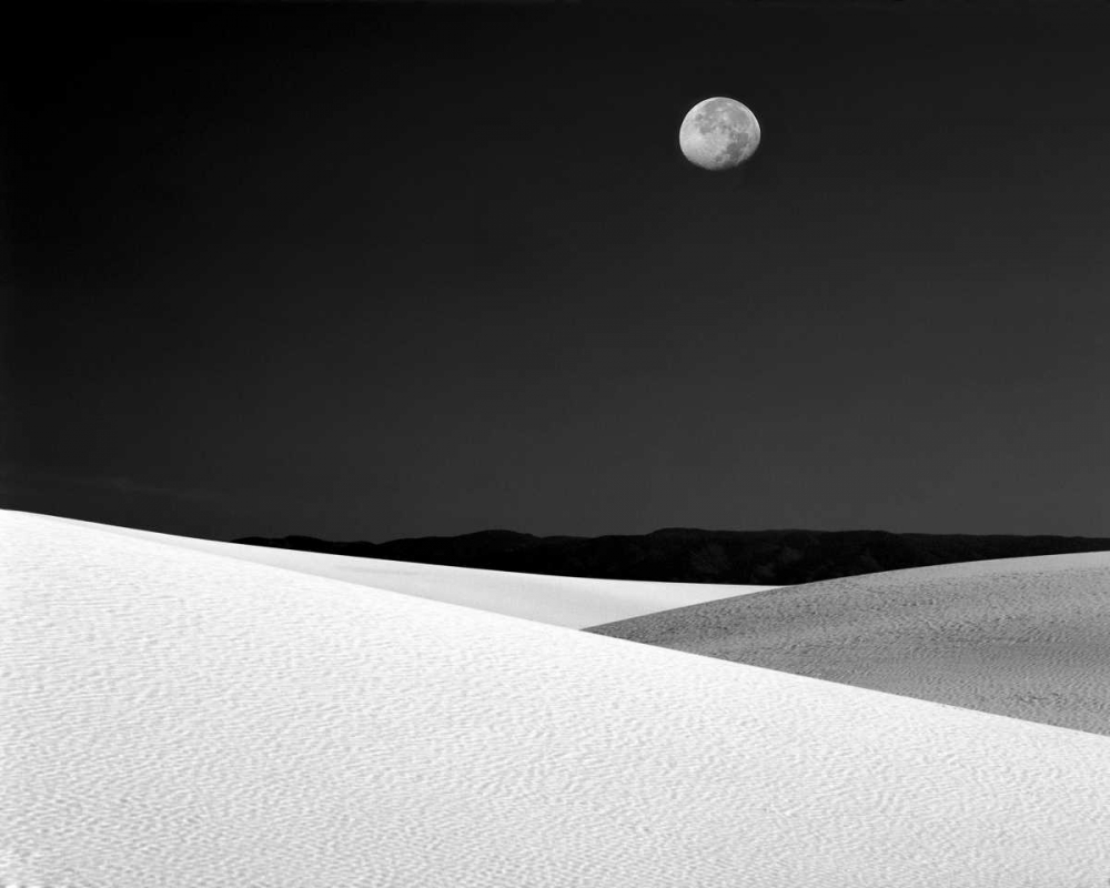 New Mexico, White Sands NM Night with full moon art print by Jim Zuckerman for $57.95 CAD