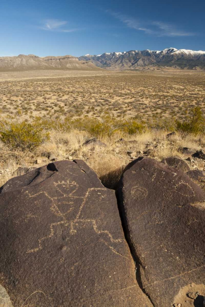 New Mexico, Three Rivers Petroglyph on rock art print by Cathy and Gordon Illg for $57.95 CAD