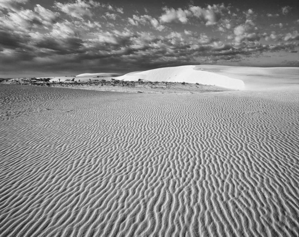 New Mexico, White Sands NM Desert landscape art print by Dennis Flaherty for $57.95 CAD