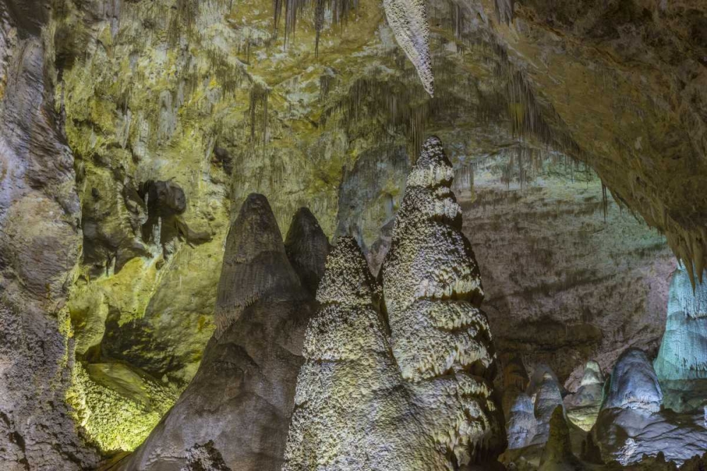 New Mexico, Carlsbad Caverns Scenic of cavern art print by Don Paulson for $57.95 CAD