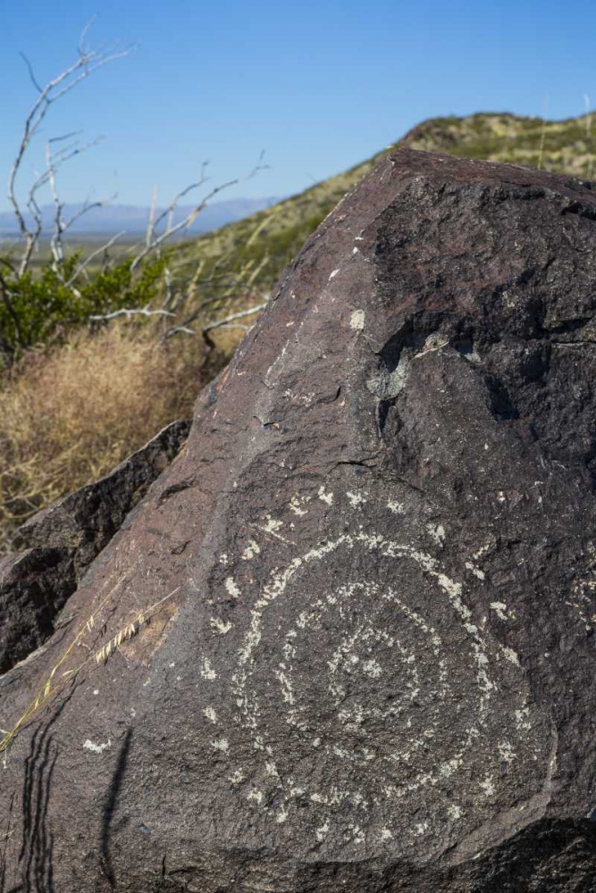 New Mexico, Three Rivers, Petroglyph on rock art print by Don Paulson for $57.95 CAD