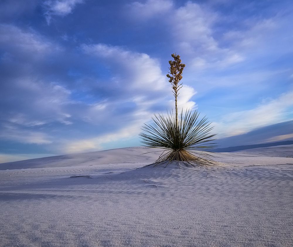 White Sands National Park art print by George and Marilu Theodore for $57.95 CAD