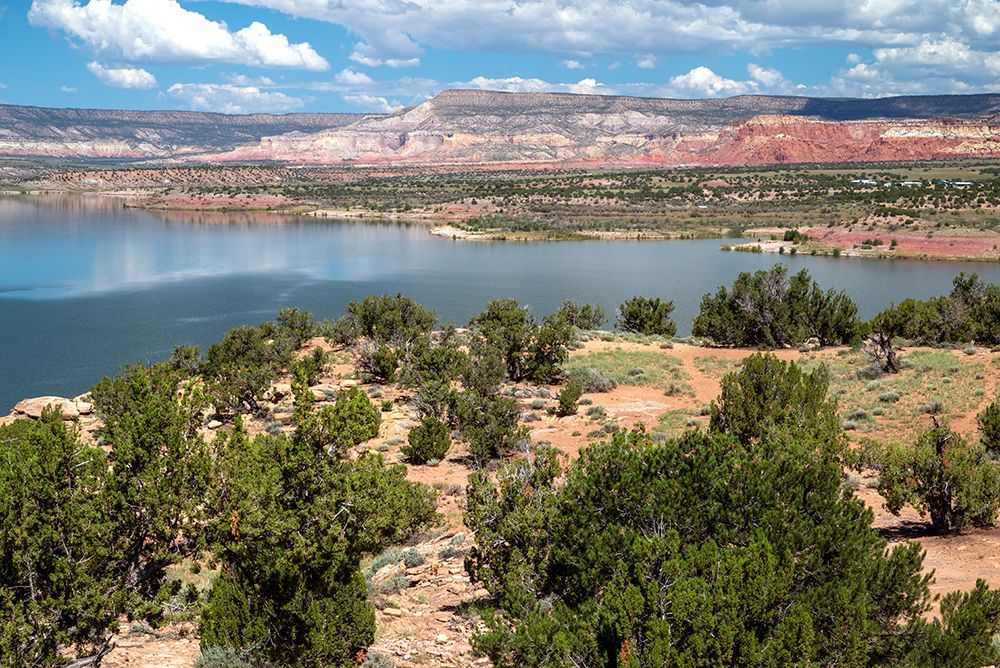 USA-New Mexico Abiquiu Lake art print by Janell Davidson for $57.95 CAD