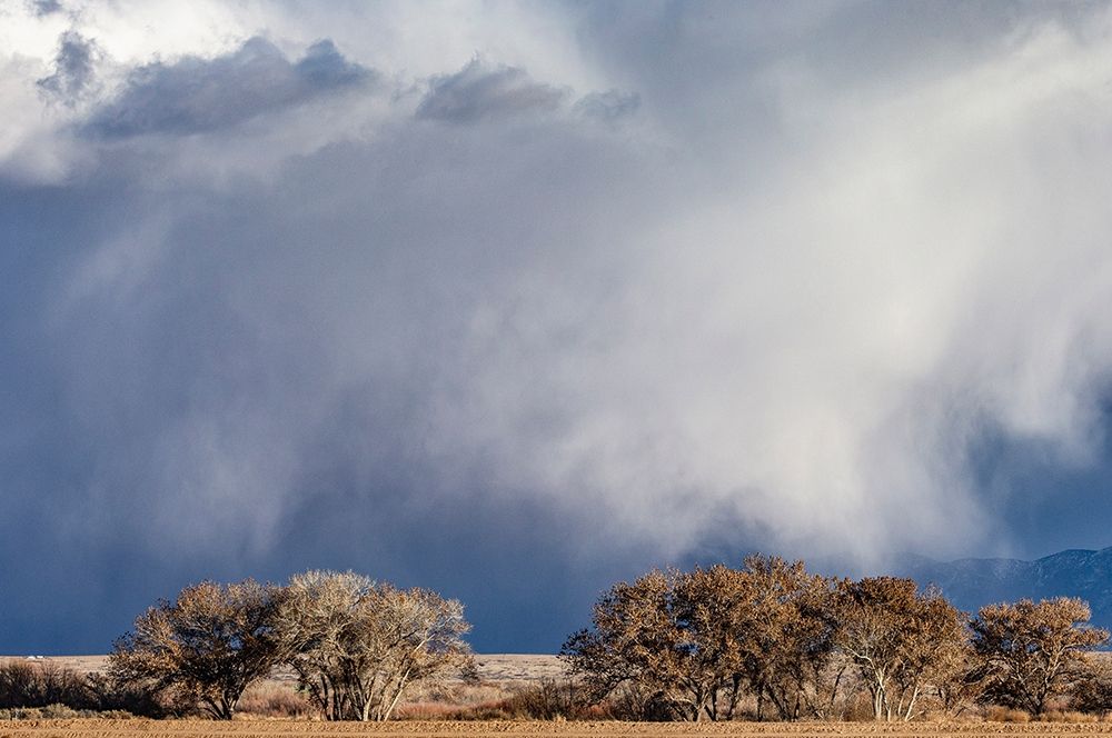 Winter storms in the Manzano mountains-New Mexico art print by Maresa Pryor for $57.95 CAD
