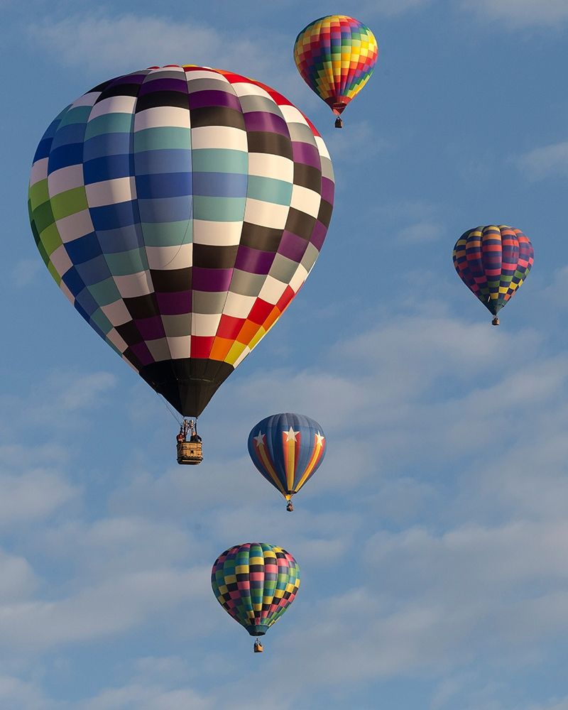 Mass Ascension Albuquerque International Balloon Fiesta-Albuquerque-New Mexico art print by Maresa Pryor for $57.95 CAD