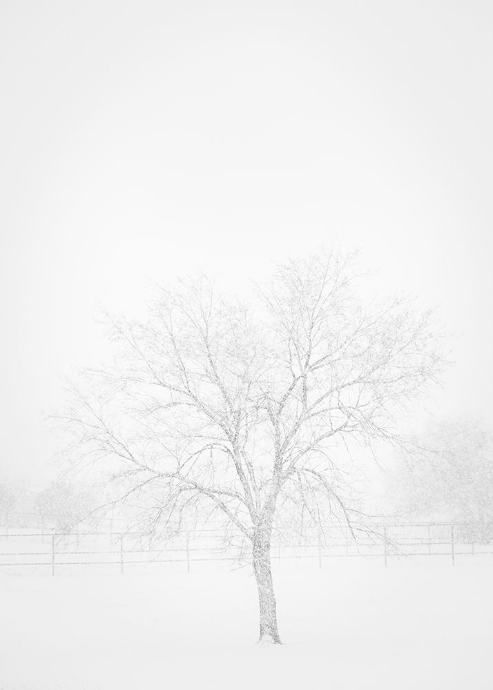 Snowscape in New Mexico art print by Maresa Pryor for $57.95 CAD