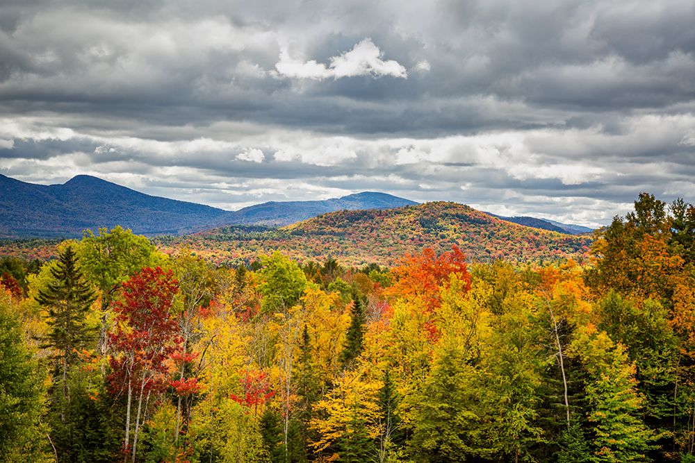 USA-New York-Adirondacks Indian Lake-Fall color at overlook along Route 28 art print by Ann Collins for $57.95 CAD