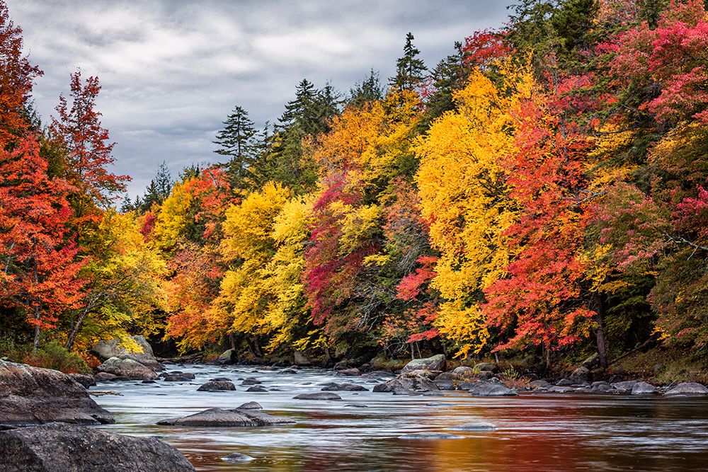 USA-New York-Adirondacks Long Lake-autumn color along the Raquette River art print by Ann Collins for $57.95 CAD