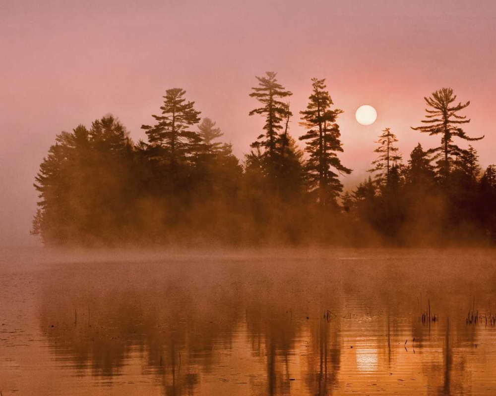 USA, New York, Adirondack Park Sunrise on a lake art print by Jay OBrien for $57.95 CAD