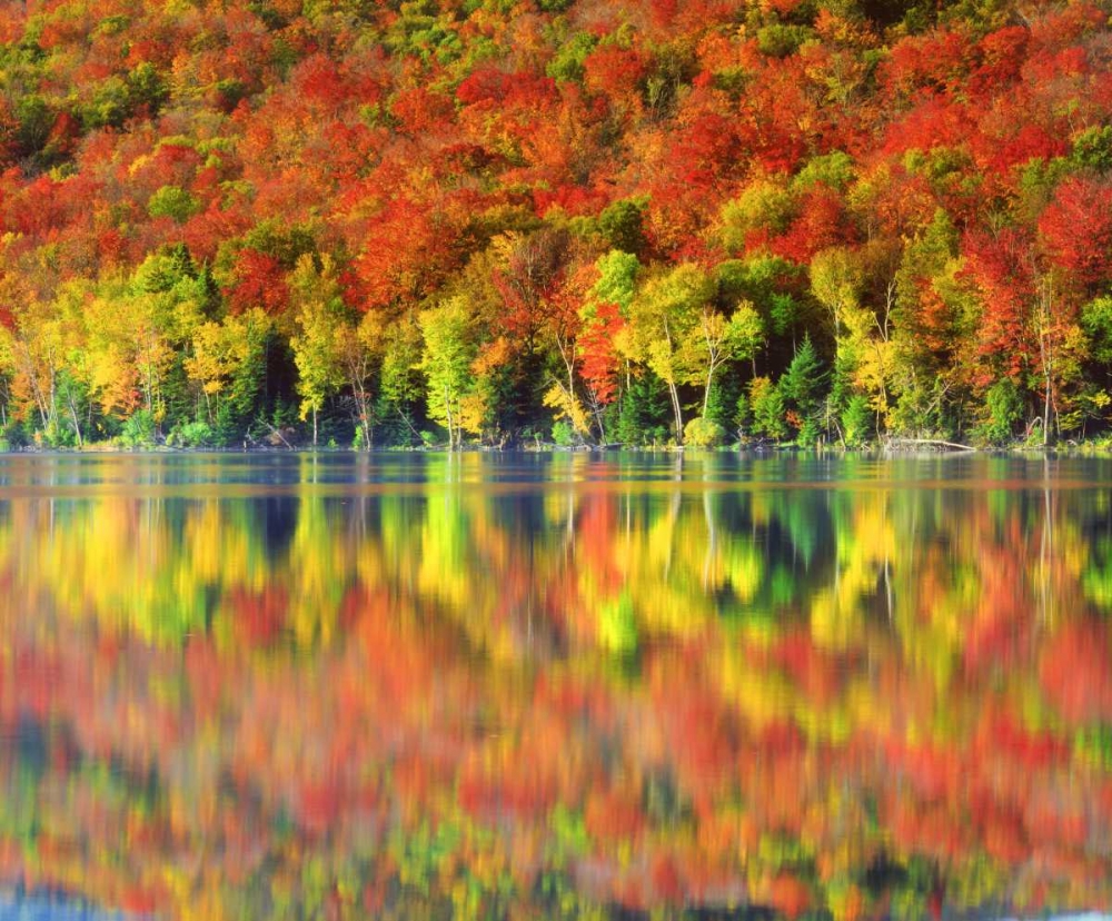 NY, Adirondack Mts Autumn reflects in Heart Lake art print by Christopher Talbot Frank for $57.95 CAD