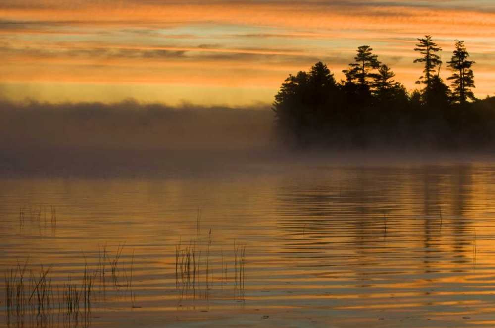 New York, Adirondack Mts Racquette Lake, sunrise art print by Nancy Rotenberg for $57.95 CAD