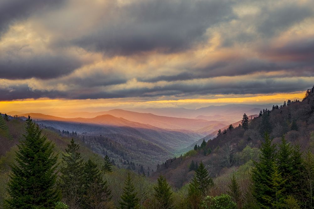 Sunrise view of Oconaluftee Valley-Great Smoky Mountains National Park-North Carolina art print by Adam Jones for $57.95 CAD