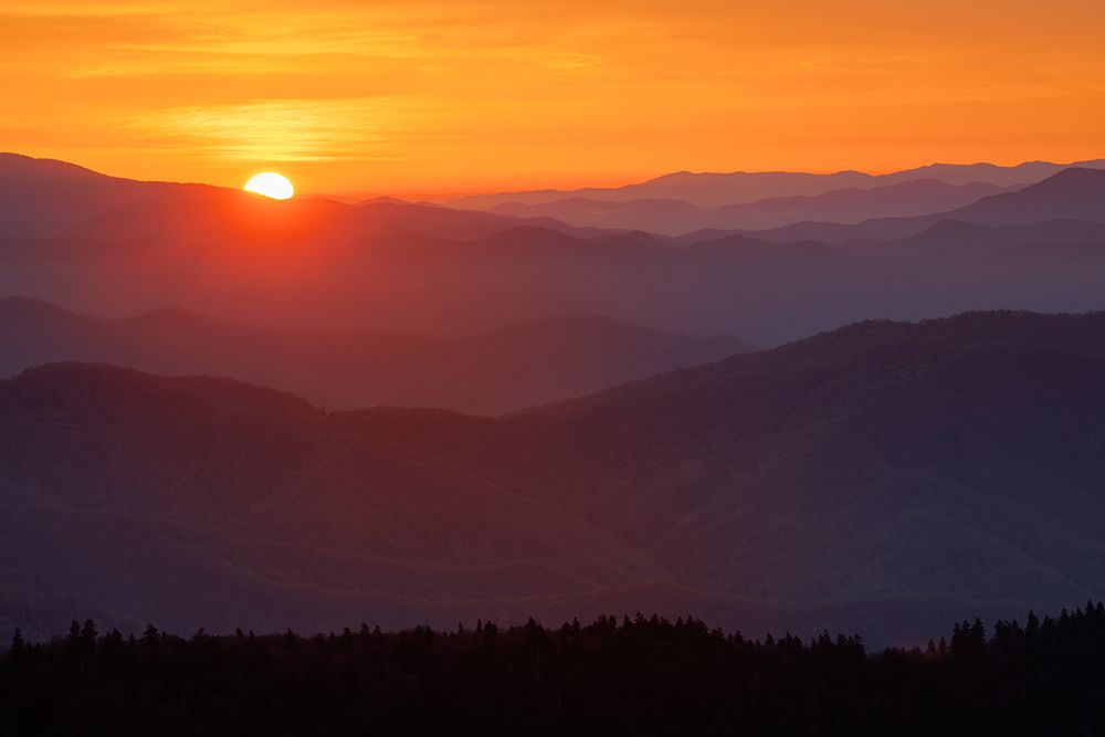 Spring sunrise view of mountains and mist-from Clingmans Dome area-Great Smoky Mountains NP-NC art print by Adam Jones for $57.95 CAD
