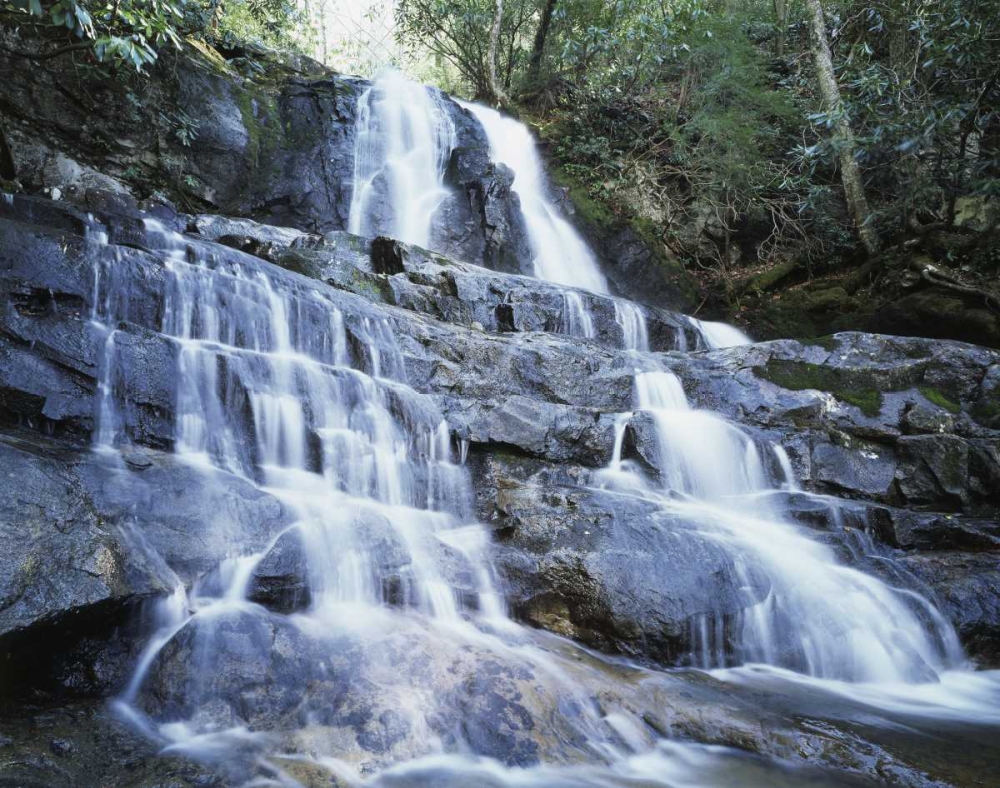 North Carolina, Great Smoky Mts Waterfall art print by Christopher Talbot Frank for $57.95 CAD