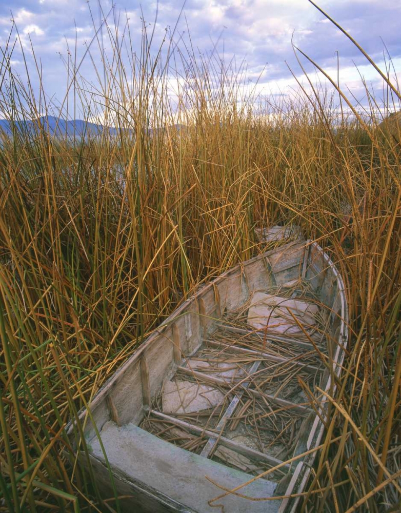 OR, Upper Klamath NWR, Abandoned wooden rowboat art print by Steve Terrill for $57.95 CAD
