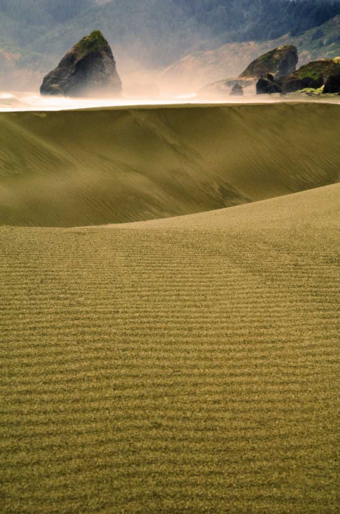 USA, Oregon Sand dunes in late light along coast art print by Nancy Rotenberg for $57.95 CAD
