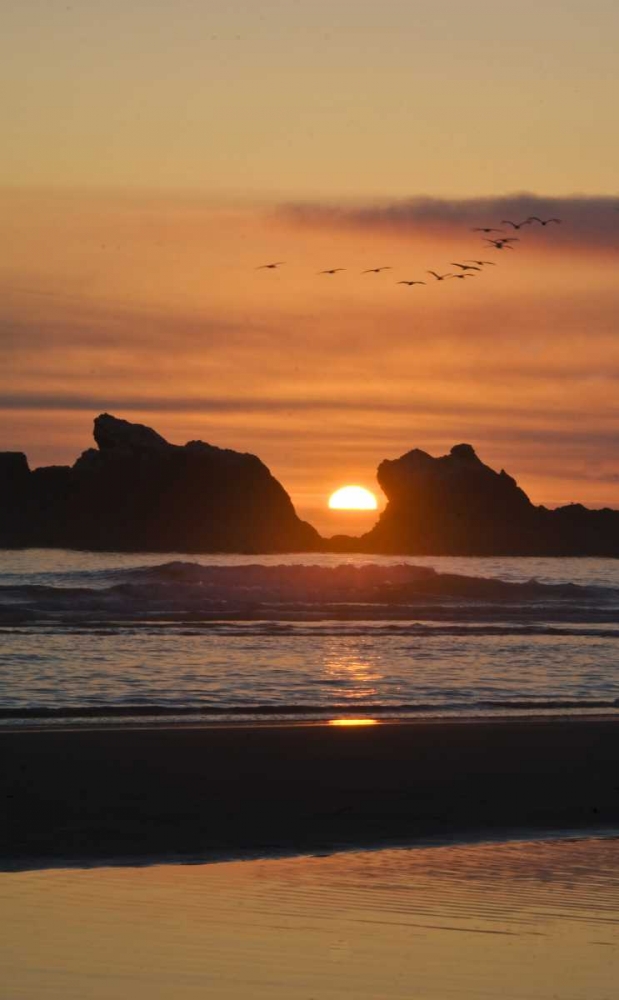 Oregon Birds fly over sunset between sea stacks art print by Nancy Rotenberg for $57.95 CAD