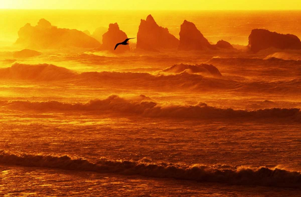 Oregon, Bandon Sunset over waves and sea stacks art print by Dave Welling for $57.95 CAD