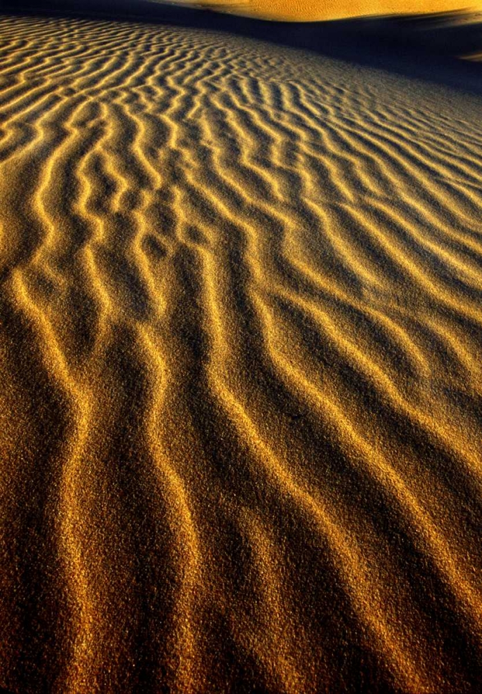 Oregon, Oregon Dunes NRA Dune pattern abstract art print by Dave Welling for $57.95 CAD