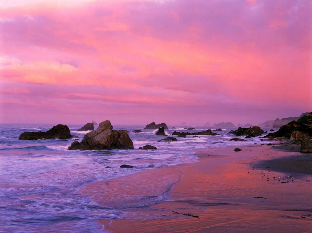 OR, Harris State Beach Sea stacks at dawn art print by Dave Welling for $57.95 CAD