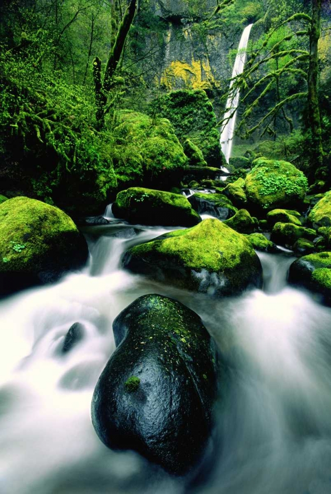 OR, Columbia Gorge Elowah Falls and boulders art print by Dave Welling for $57.95 CAD