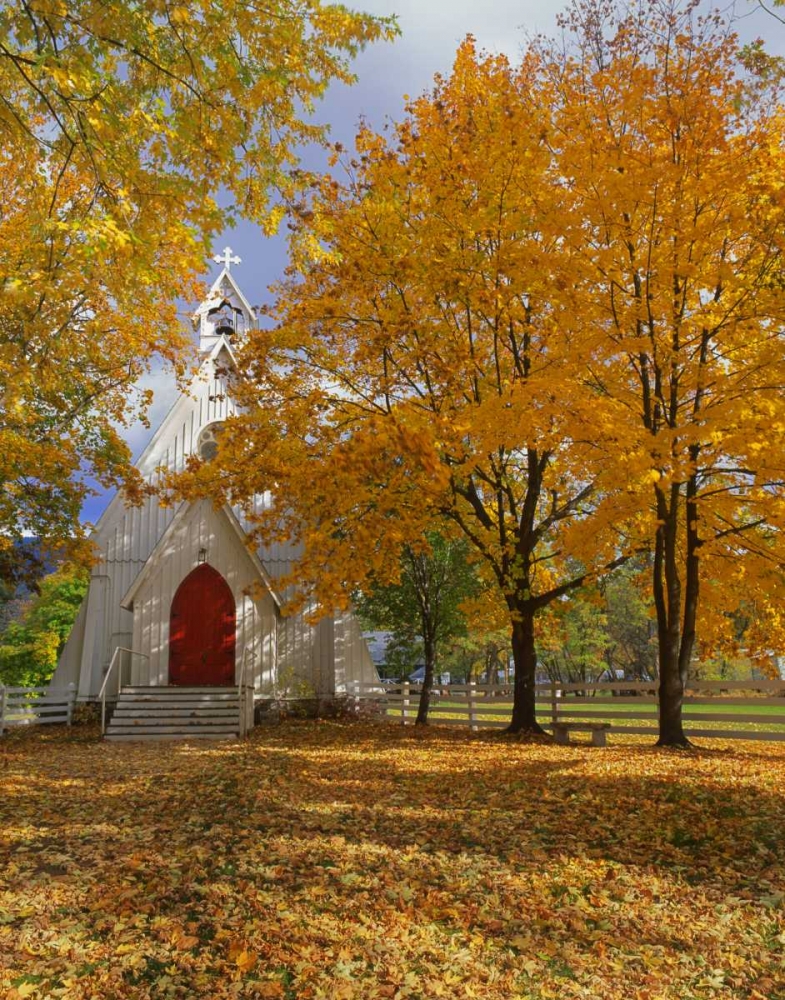 OR, Cove Ascension Chapel surrounded by autumn art print by Steve Terrill for $57.95 CAD