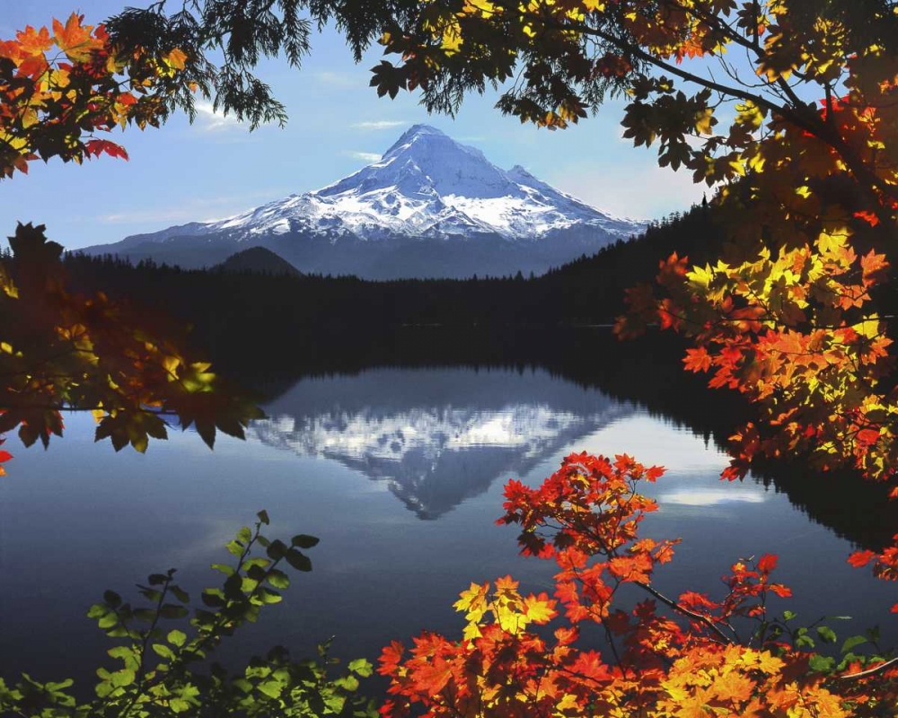 OR, Mt Hood NF Mt Hood from Lost Lake in fall art print by Steve Terrill for $57.95 CAD