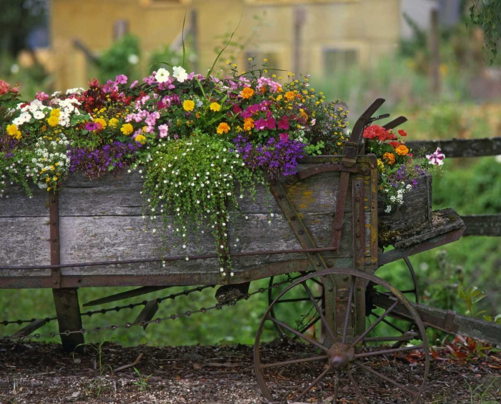 OR, Portland Farm spreader filled with flowers art print by Steve Terrill for $57.95 CAD