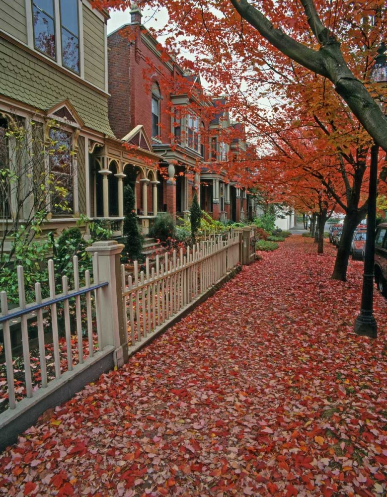OR, Portland Autumn leaves litter sidewalk art print by Steve Terrill for $57.95 CAD
