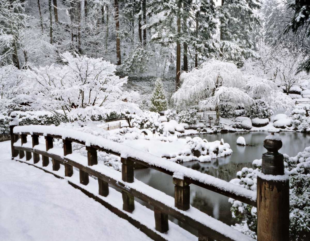 Oregon, Portland Winter snowfall in a Garden art print by Steve Terrill for $57.95 CAD