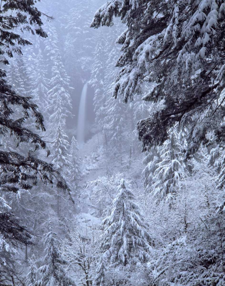 Oregon, Silver Falls North Falls in winter snow art print by Steve Terrill for $57.95 CAD