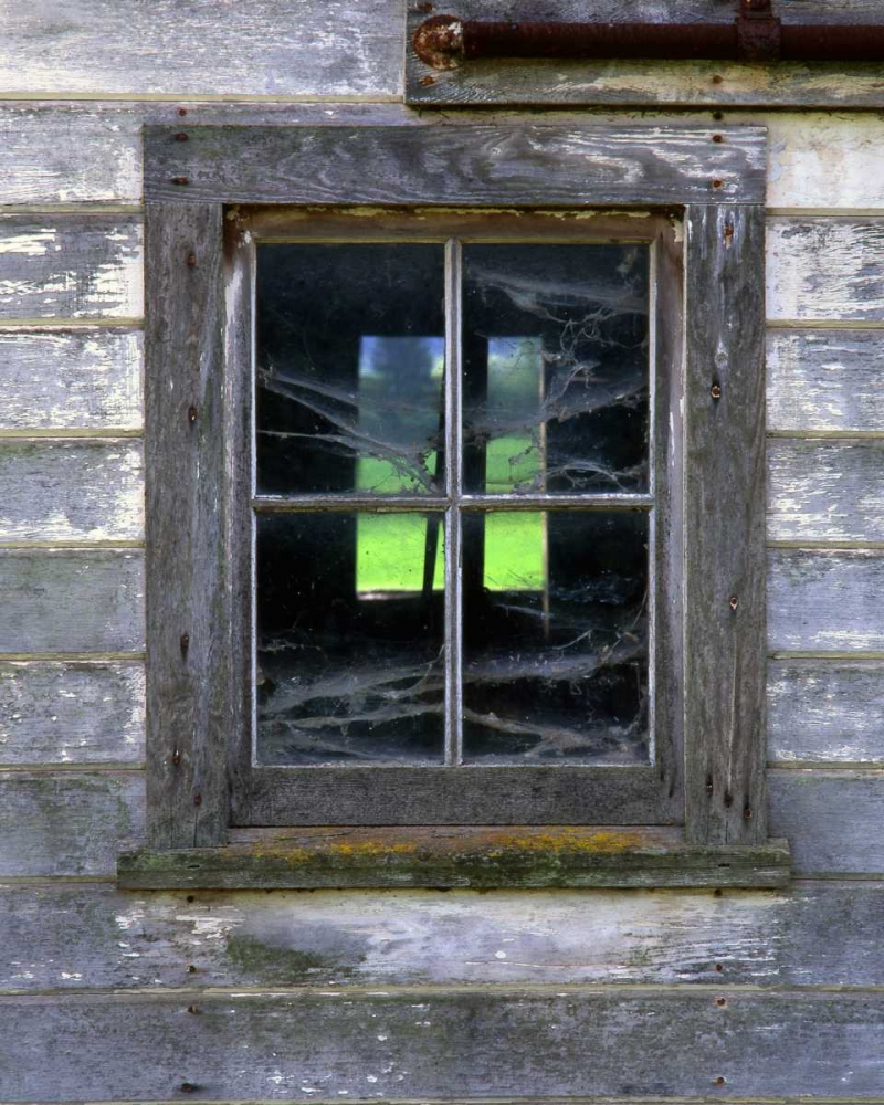 OR, Willamette Valley Old barn window art print by Steve Terrill for $57.95 CAD