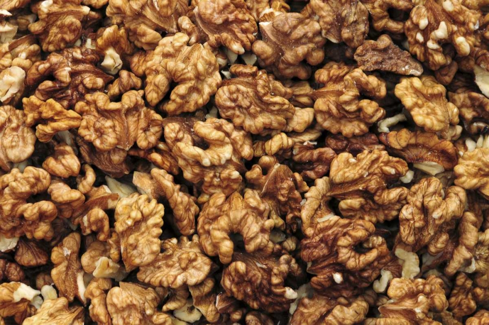 USA, Oregon, Portland Close-up of walnut meats art print by Steve Terrill for $57.95 CAD