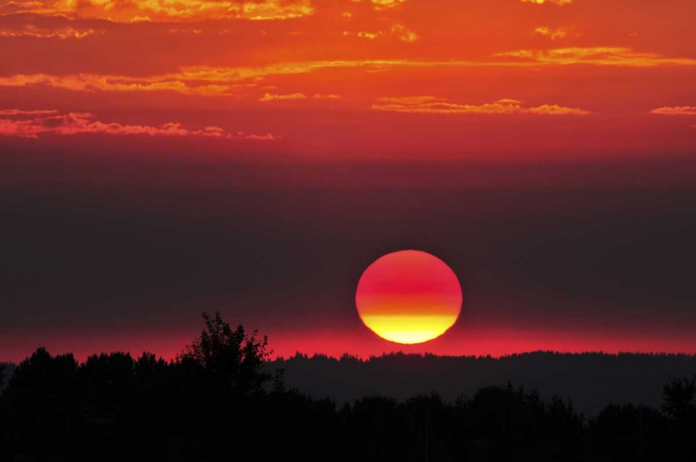USA, Oregon, Portland Vivid red sunset art print by Steve Terrill for $57.95 CAD