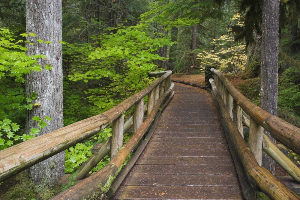 OR, Willamette NF Wooden foot bridge art print by Don Paulson for $57.95 CAD
