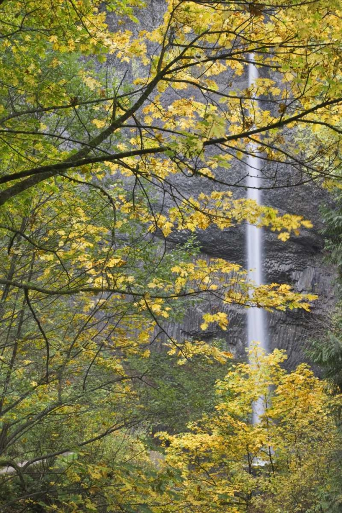 OR, Columbia Gorge Latourell Falls in autumn art print by Don Paulson for $57.95 CAD