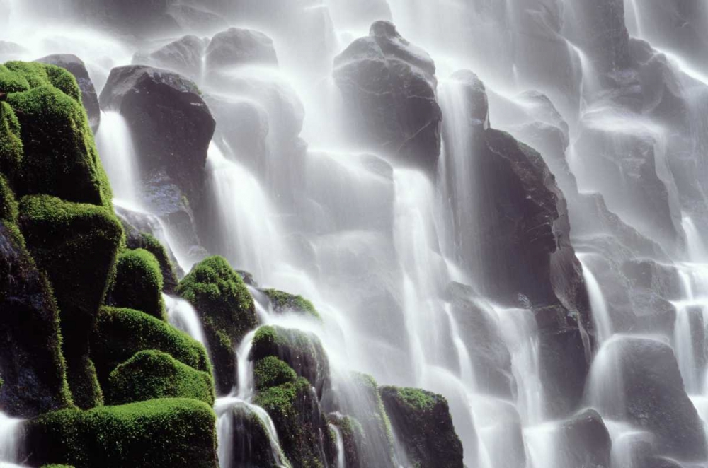 OR, Ramona Falls Waterfall cascades down a cliff art print by Steve Satushek for $57.95 CAD