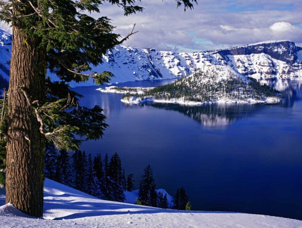 OR, Crater Lake NP View of snowy lake and island art print by Dennis Flaherty for $57.95 CAD
