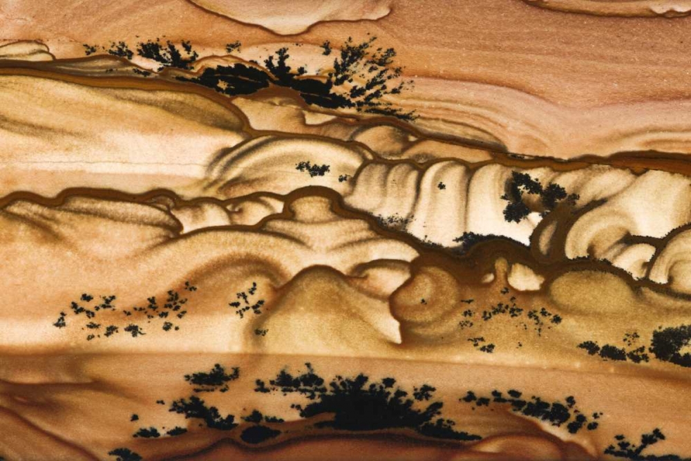 Oregon Close-up of Biggs Picture Jasper stone art print by Dennis Kirkland for $57.95 CAD