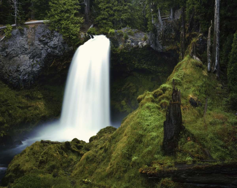 OR, Cascades Waterfall on the McKenzie River art print by Dennis Flaherty for $57.95 CAD